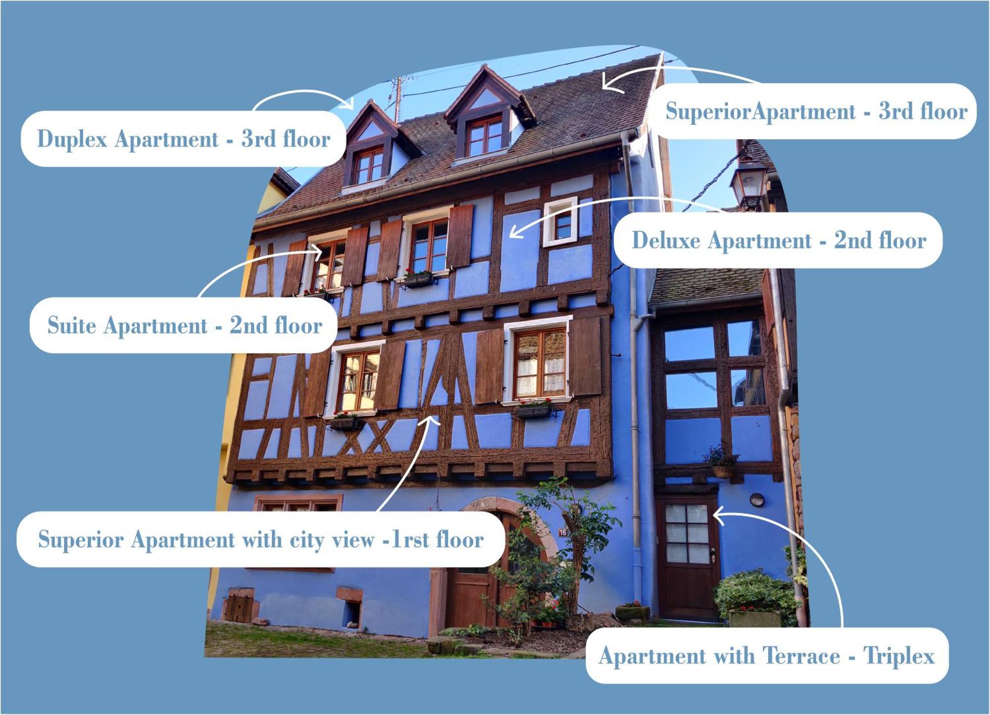 La Maison Bleue - Historic House In The Heart Of Riquewihr Exterior photo