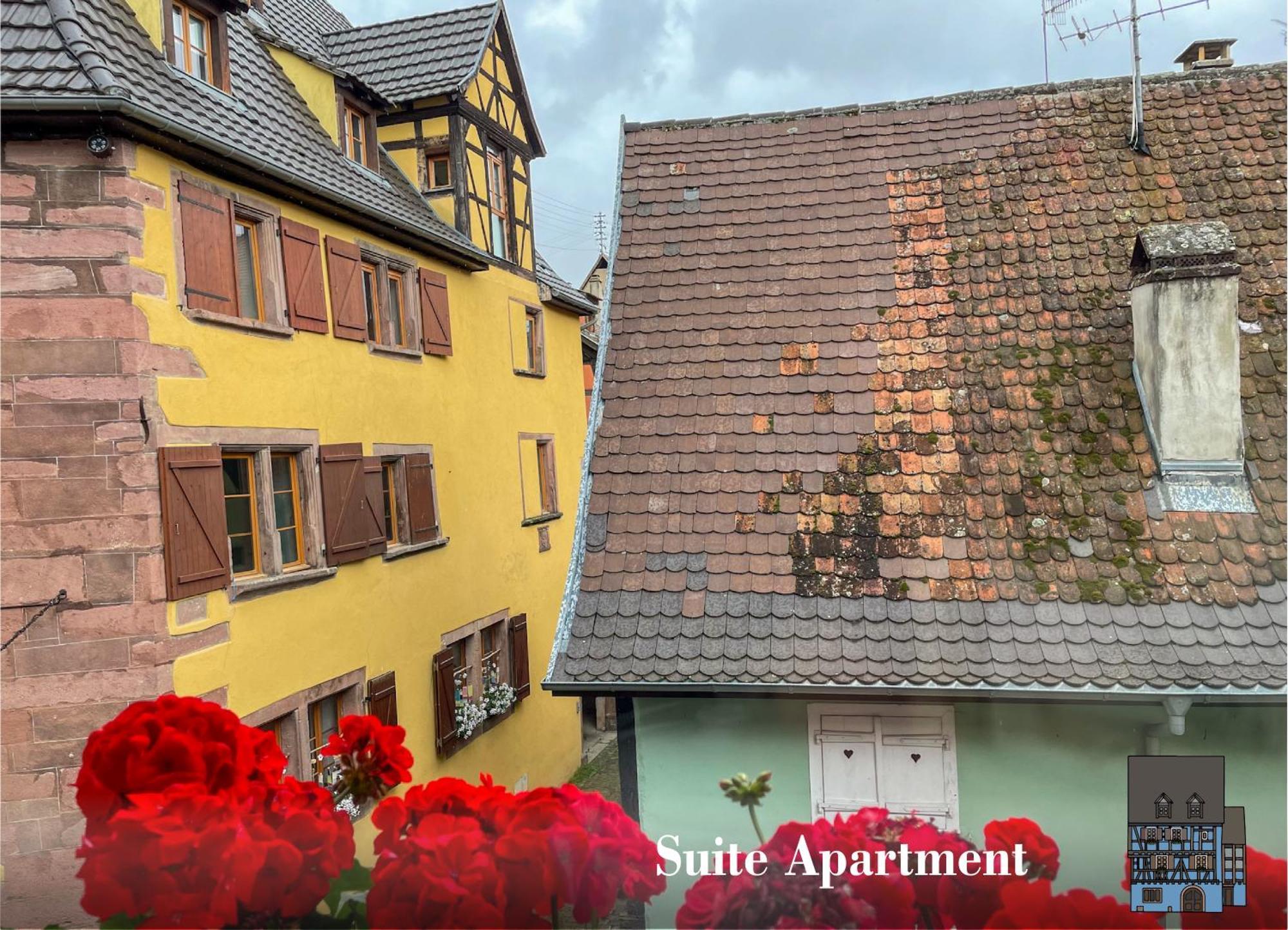 La Maison Bleue - Historic House In The Heart Of Riquewihr Exterior photo